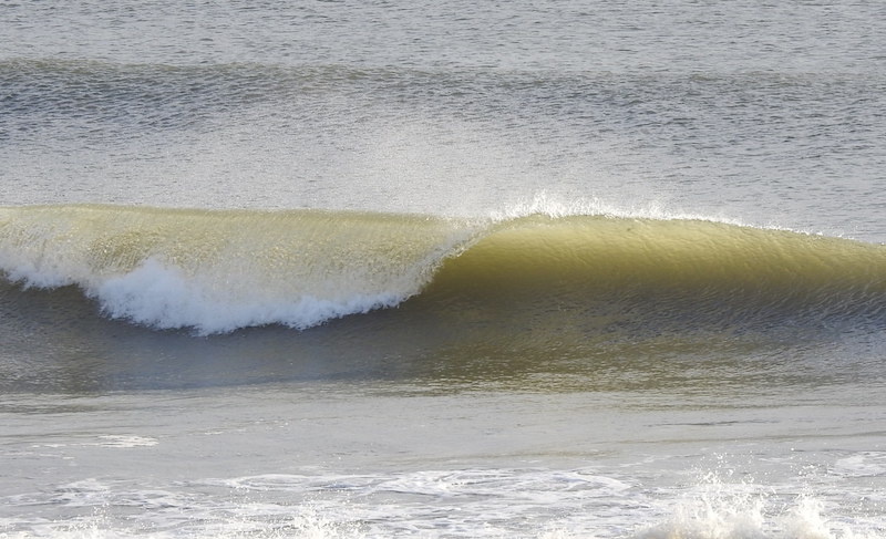 5/29 Surf Report