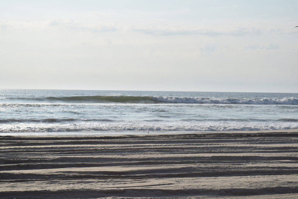 5/28 Surf Report