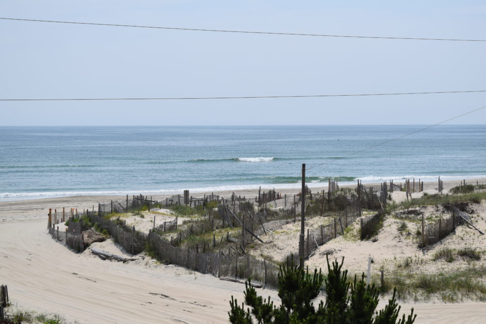 5/31 Surf Report