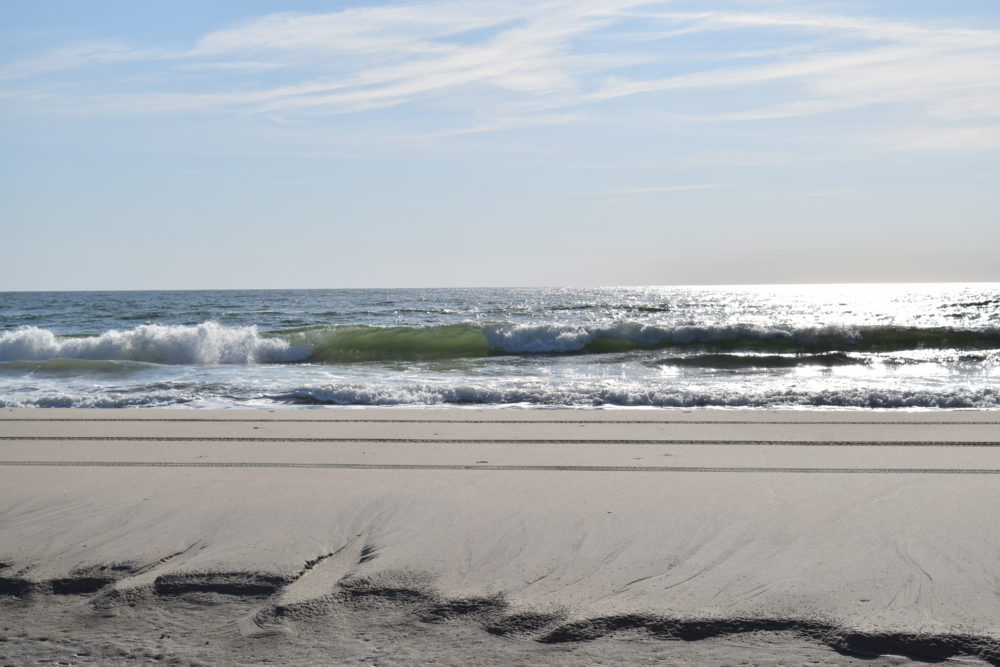 6/4 Surf Report