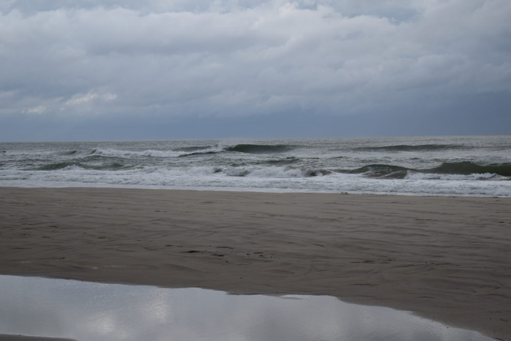 06/13 Surf Report