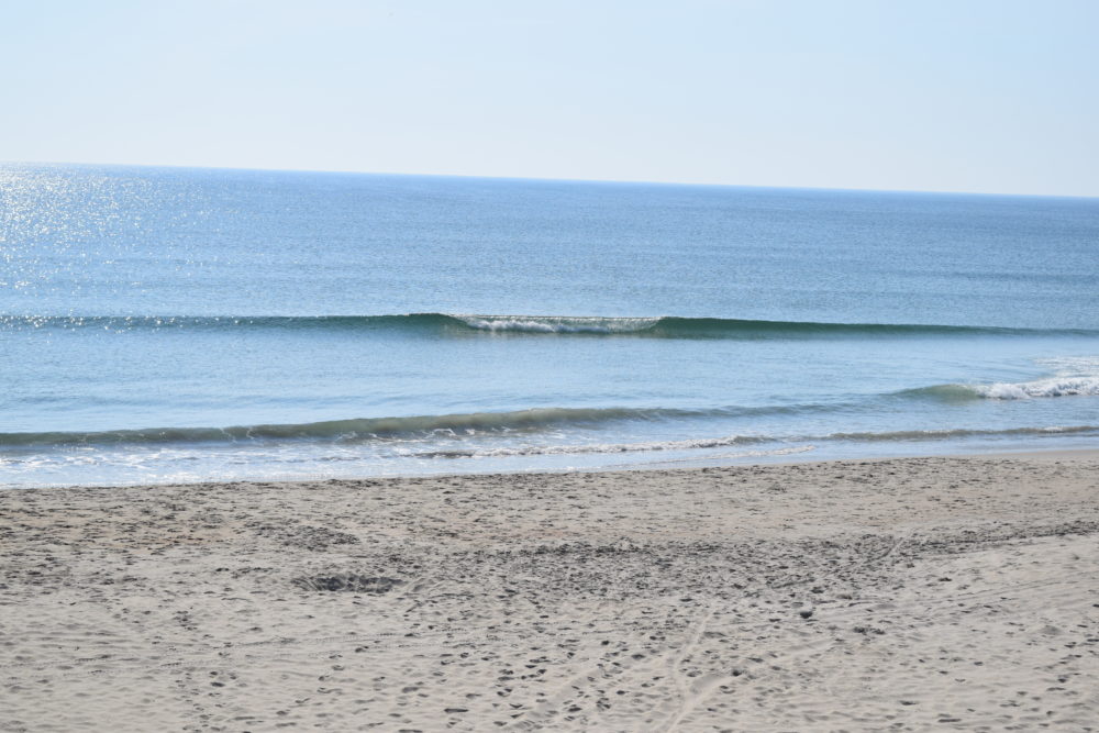 6/30 Surf Report