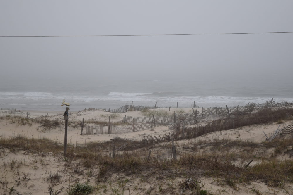 03/30/20 Surf Report