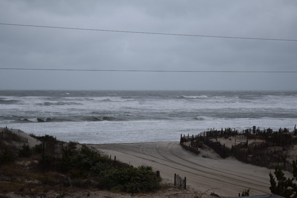 04/01/20 Surf Report