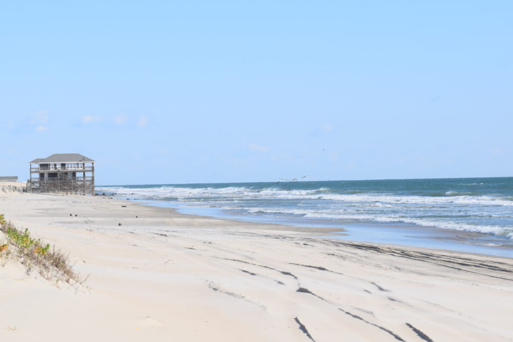 04/10/20 Surf Report