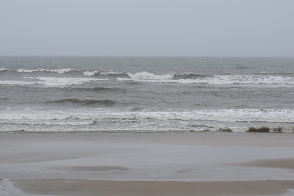 04/13/20 Surf Report