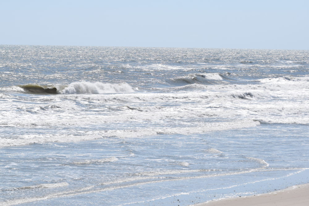 04/14/20 Surf Report