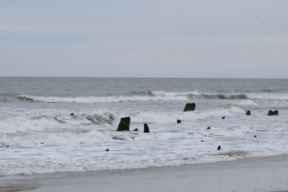 04/23/20 Surf Report
