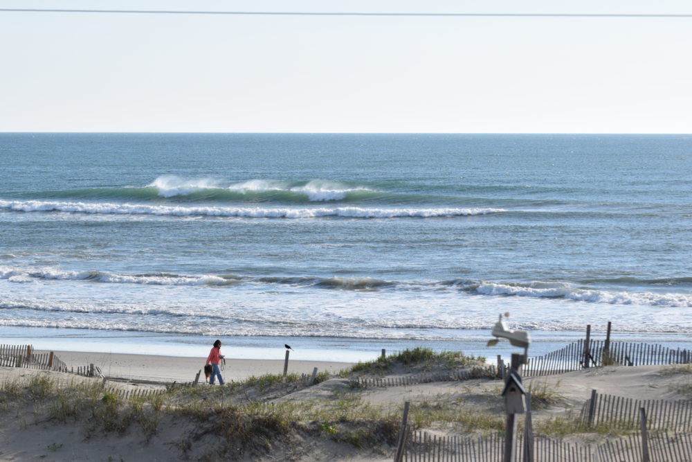 05/02/20 Surf Report