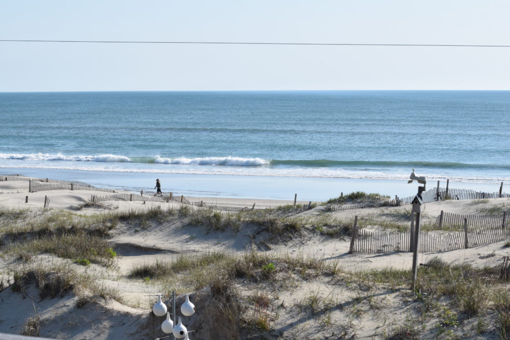 05/03/20 Surf Report