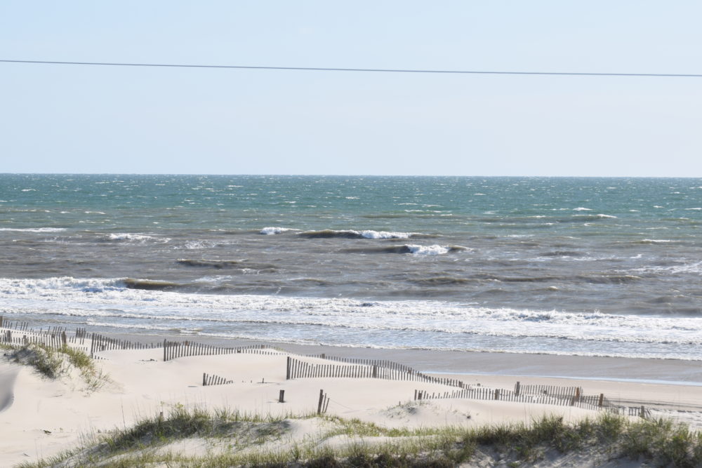 06/01 Surf Report