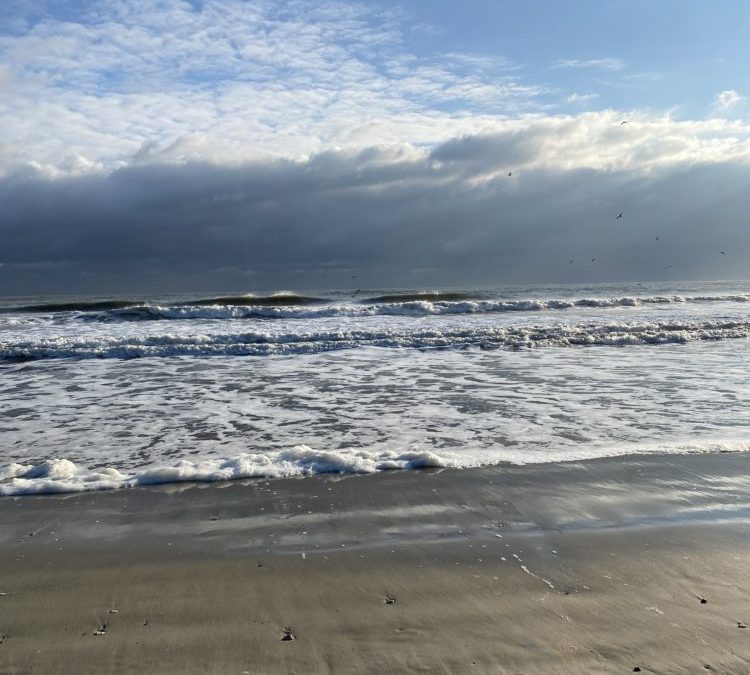 12/18/20 Surf Report