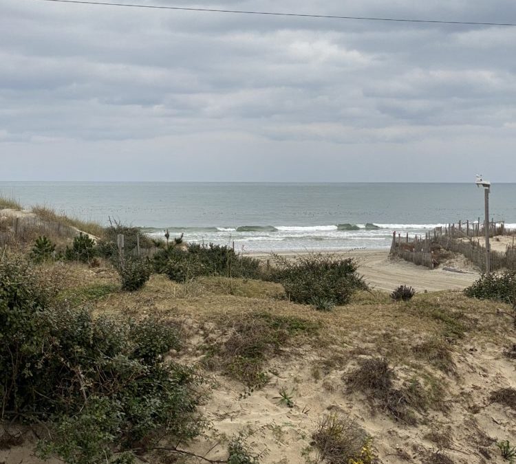 12/7/20 Surf Report