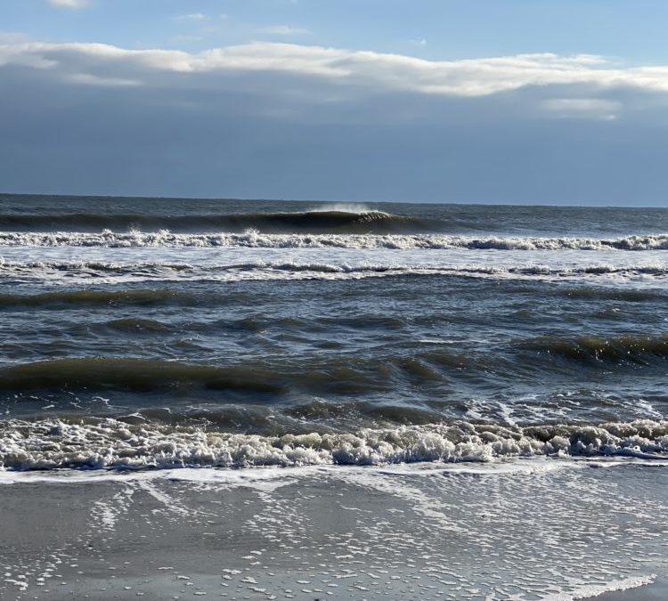 12/8/20 Surf Report