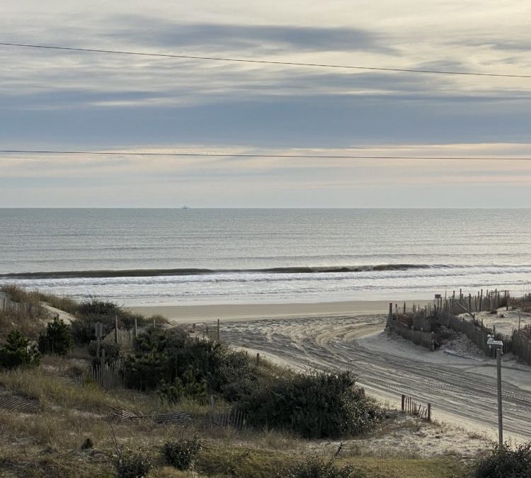 12/9/20 Surf Report