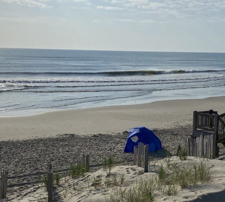 4/26/22 Surf Report
