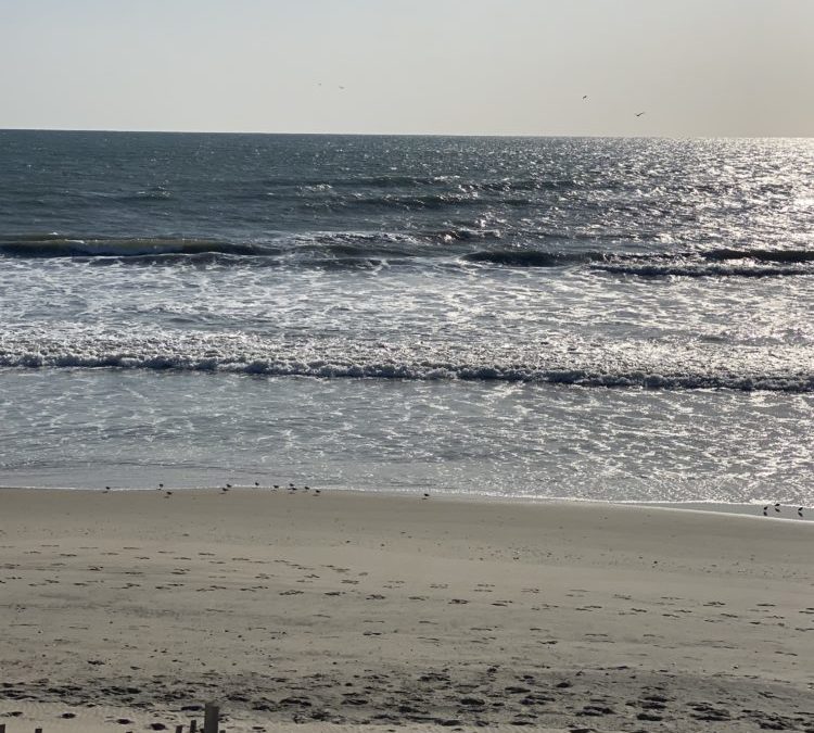 4/29/22 Surf Report